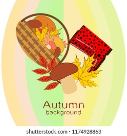 rubber boots fallen leaf basket mushroom autumnal vector background