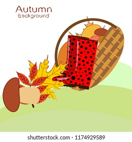 rubber boots fallen leaf basket mushroom autumnal vector background