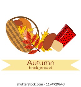 rubber boots fallen leaf basket mushroom autumnal vector background