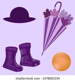 Rubber boots, umbrella with autumn leaves, hat - purple pink color and orange ball - isolated on a light background - vector