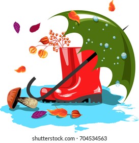rubber boots.umbrella.autumn leaves