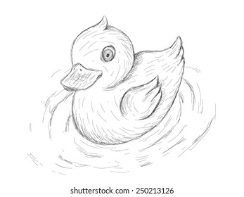Rubber Duck, illustration in sketch style