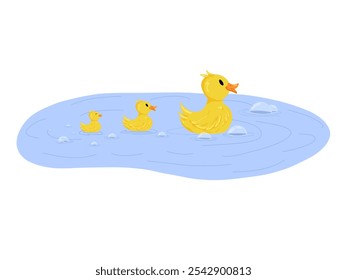 Rubber ducks swimmig in a puddle. Bath yellow cute toys, water funny games vector duck cartoon illustration isolated on white background