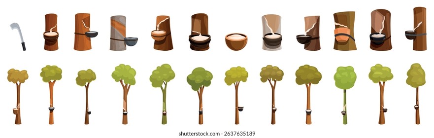 Rubber farm tree icons set. Illustrations showing rubber tapping and collection from various trees
