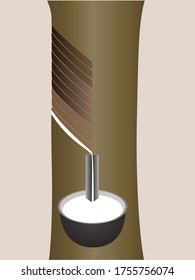 Látex de caucho extraído de un árbol de caucho aislado en un fondo beige.
