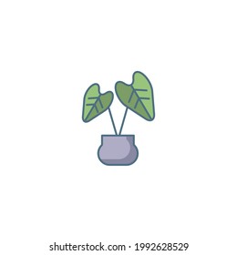 rubber plant Flat Icon Isolated On White Background