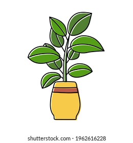 Croquis de plante en caoutchouc. Plante intérieure. Maison isolée sur fond blanc. Illustration vectorielle à plat dessiné à la main. Fleur pointillée. Dessin de dessin en couleurs de gribouillis