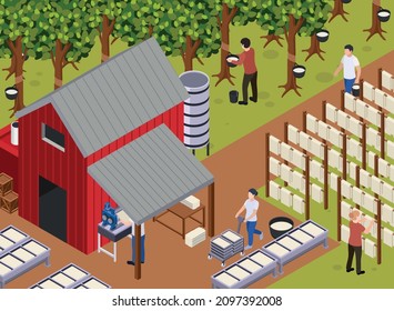 Rubber production isometric composition with outdoor scenery and workers with trees sap barn and mold tables vector illustration