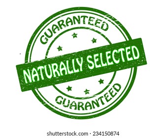 Rubber stamp with text naturally selected inside, vector illustration
