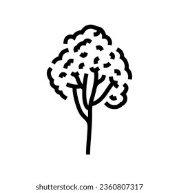 rubber tree jungle amazon line icon vector. rubber tree jungle amazon sign. isolated contour symbol black illustration