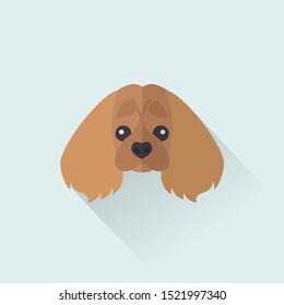 Ruby Cavalier King Charles Spaniel  Dog Head Vector Flat Design Illustration from Front View for Website Icon, Social Media or Blog Post for Dog Related Business