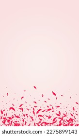 Ruby Floral Vector Pink Background. Flying Rose Cover. Carmine Blossom Tender Wallpaper. Coral Japanese Peach Frame.