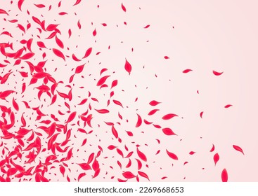 Ruby Petal Vector Pink Background. Fly Cherry Poster. Red Floral Beauty Template. Carmine Japanese Blossom Illustration.