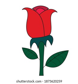 Ruby rose flower with green leaves  sketch style vector illustration isolated on white background.