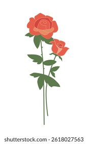 Ruby rose flower with rosebud, green leaves. Symbol of love, beauty. Floral different shape, decorative element. Hand drawn vector illustration, isolated on white background. Flat design