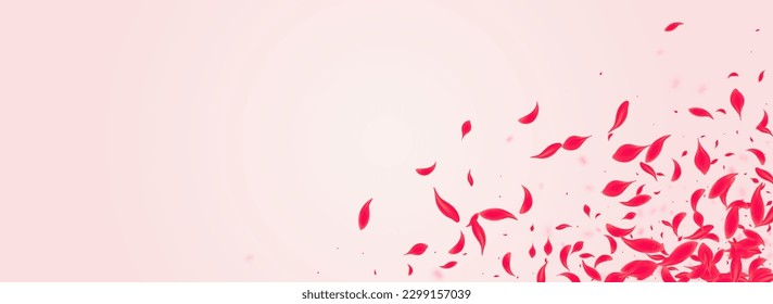Ruby Rose Vector Pink Panoramic Background. Falling Petal Backdrop. Coral Floral Japanese Pattern. Red Blur Lotus Design.