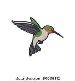 Ruby-throated hummingbird isolated vector illustration for Butterfly and Hummingbird Day on October 3