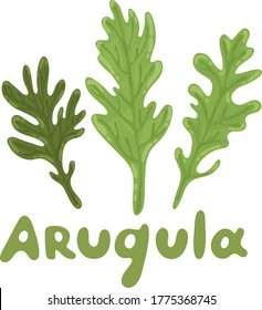 Se va la cola. Conjunto de arugula (ruccola, ensalada de cohetes). Icono de verdura orgánica de la naturaleza de la arugula, ingrediente de especias. Comida saludable, concepto de estilo de vida. Hierba vectorial. Diseño vectorial plano