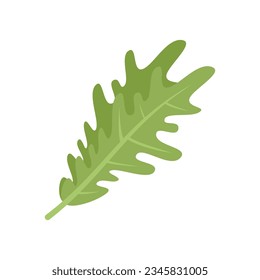 Rucola herb icon flat vector. Arugula salad. Leaf plant isolated