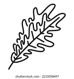 Vector de contorno del icono de la hierba de cola. Ensalada de Arugula. Planta de hojas