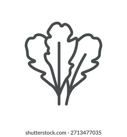 Icono de Rúcola. Ilustración de línea delgada de hojas de rúcula, que simboliza verduras de ensalada de pimienta, hierba mediterránea e ingrediente gourmet fresco. Signo de Vector de contorno aislado.