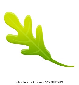 Rucola leaf icon. Cartoon of rucola leaf vector icon for web design isolated on white background