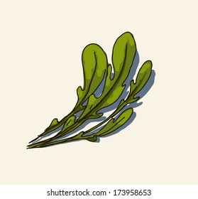 Rucola leaves.