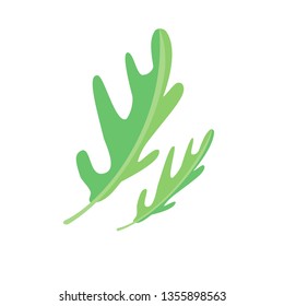 Rucola leaves icon. Isolated vector illustration