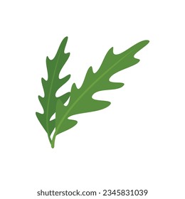 Vector plano del icono de la planta de Rucola. Arúgula vegetal. Ensalada de hojas aislada