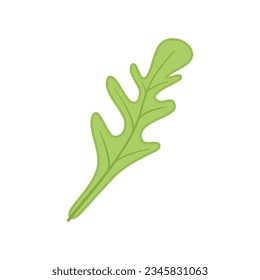 Vector plano de icono de ensalada de Rucola. Hoja de Arugula. Planta vegetal aislada