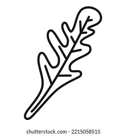 Rucola salad icon outline vector. Arugula leaf. Vegetable plant