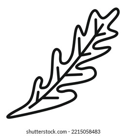 Rucola spice icon outline vector. Salad plant. Leaf vegetable