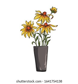Rudbeckia flower in a vase. Vector illustration