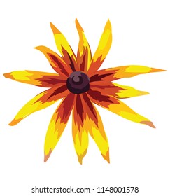 Rudbeckia flower. Vector colorful illustration isolated on white background.