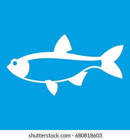 Rudd fish icon white isolated on blue background vector illustration