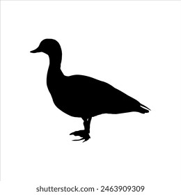 Ruddy shelduck silhouette isolated on white background. Shelduck icon vector illustration design.