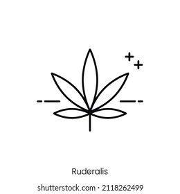 ruderalis icon. Outline style icon design isolated on white background