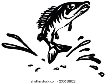 Ruff fish jumps out of water. Vector illustration.