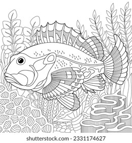 Ruffe fish coloring page. Outline sea design in mandala and zentangle style