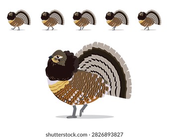 Ruffed Grouse Male Walking Animation Vector