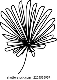 The Ruffled Fan Palm in Vector for Coloring