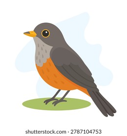 Rufous bellied thrush standing calmly, Rufous bellied thrush displaying warm orange plumage, Turdus rufiventris vector bird illustration.