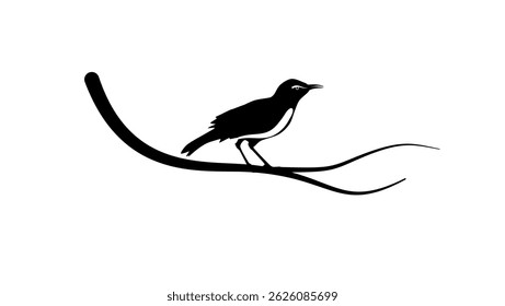 Rufous Hornero bird, black isolated silhouette
