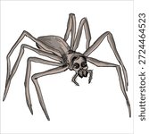 Rufous Net-casting Spider. Asianopis subrufa. Colorful, hand-drawn, vector illustration. Picturesque. Unique detailed stylization. Print on sketchbooks, stickers, postcards, cups, clothes, posters. Biological.