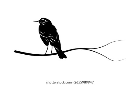 Pájaro de arbusto de malla rojiza, silueta aislada negra 