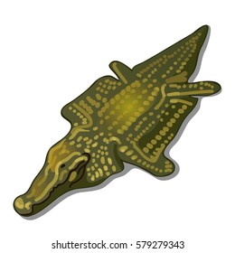 A rug from the skin of a crocodile isolated on a white background. Vector cartoon close-up illustration.
