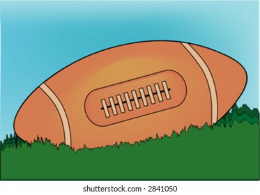 rugby ball in grass