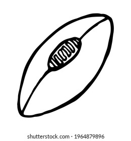 Rugby ball hand drawn black and white vector doodle icon EPS10 isolated on white