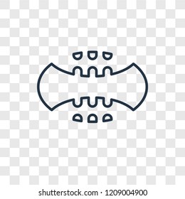 Rugby concept vector linear icon isolated on transparent background, Rugby concept transparency concept in outline style