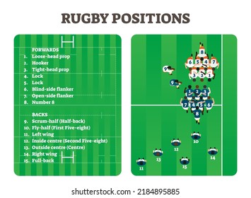 Rugby positions team group figure scheme, vector illustration players set. Forwards team with hooker, tight-head prop, lock etc. Also backs team with scrum-half, left wing, fly-half and others.